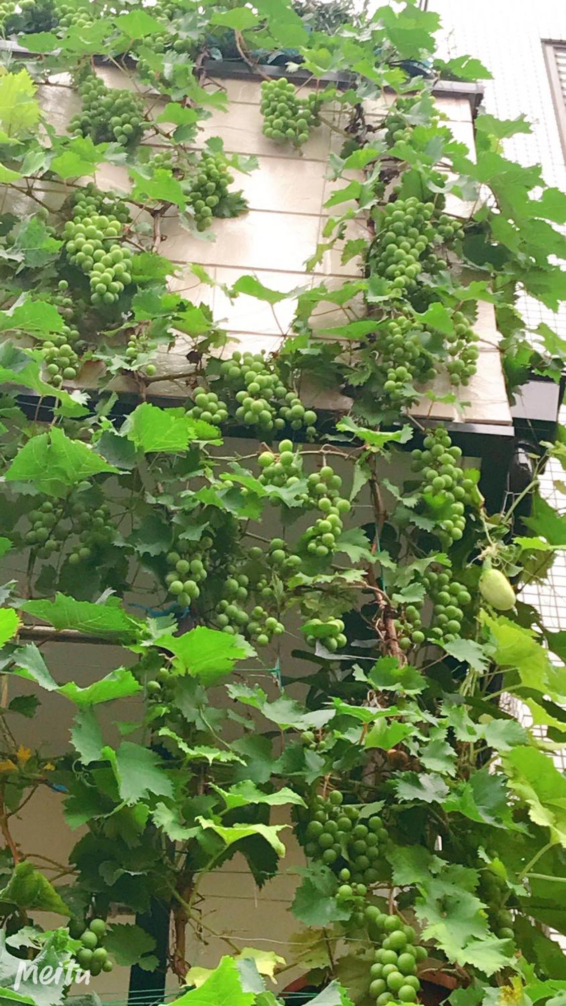 東京吉久花園旅館 Casa de férias