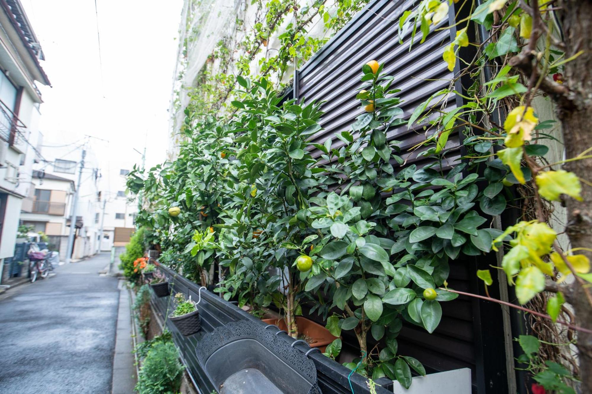 Casa de férias 東京吉久花園旅館 Tóquio